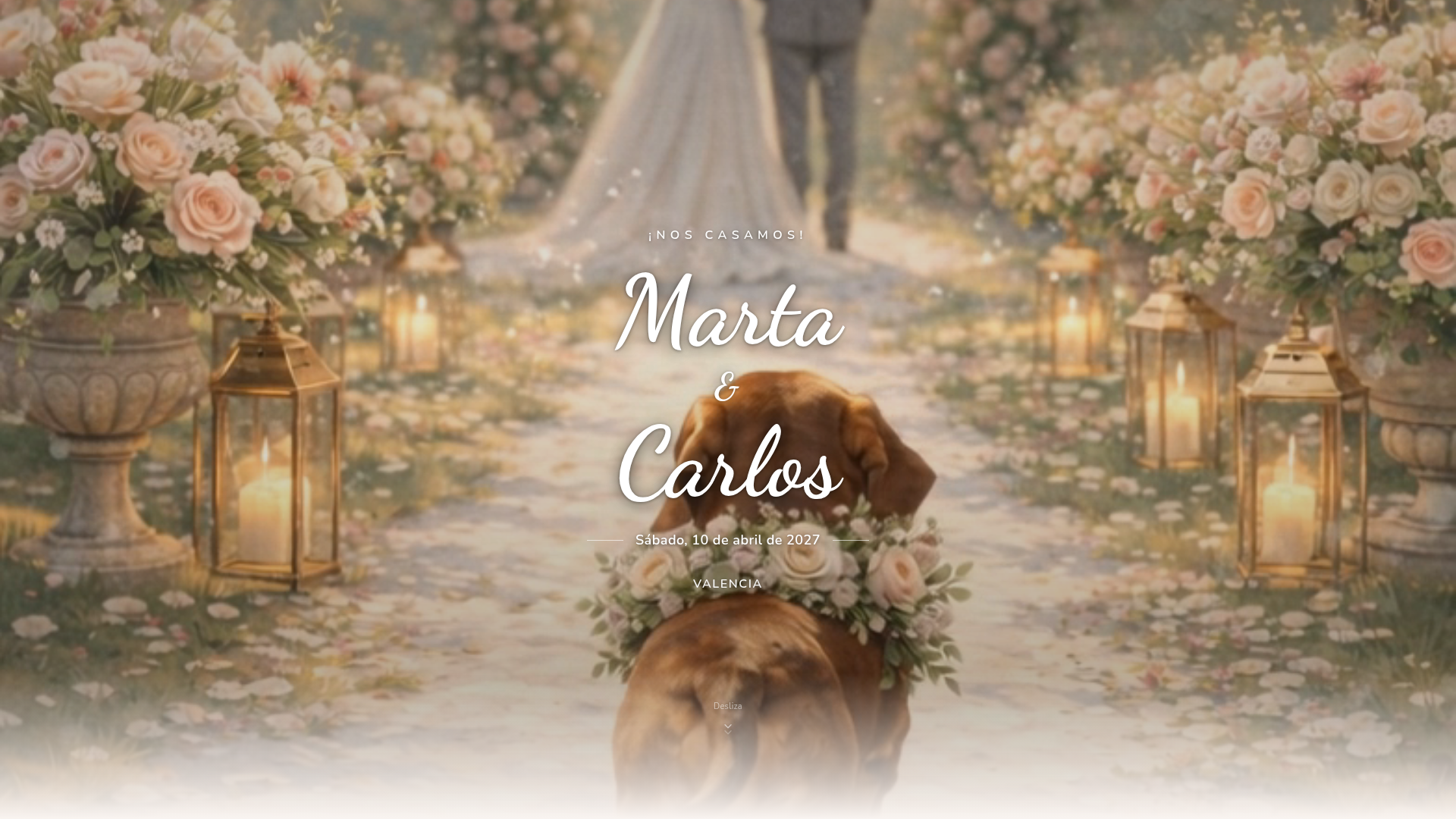 Preview Perrito